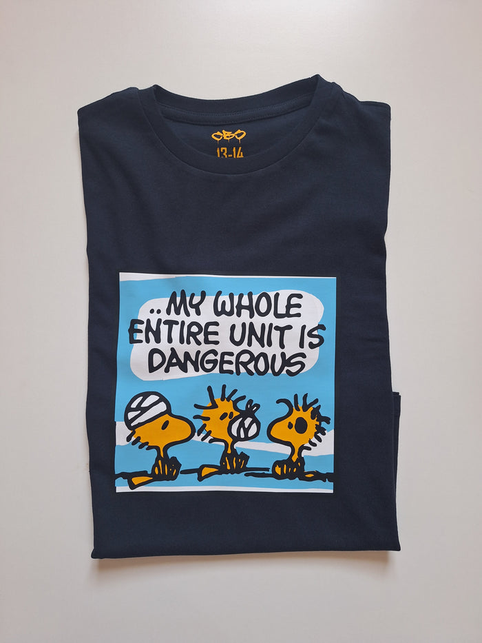 Dangerous x Woodstock T-shirt - Catch Body Customs