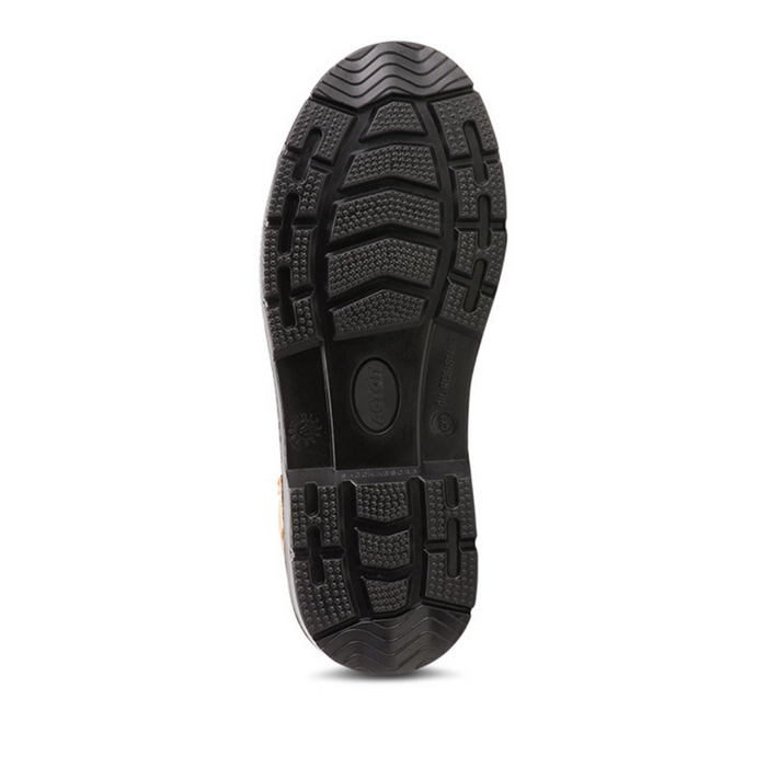 Acton Prolite