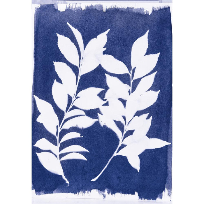 Cyanotype Chemistry Set