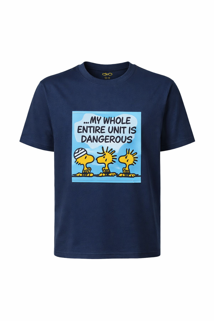 Dangerous x Woodstock T-shirt - Catch Body Customs