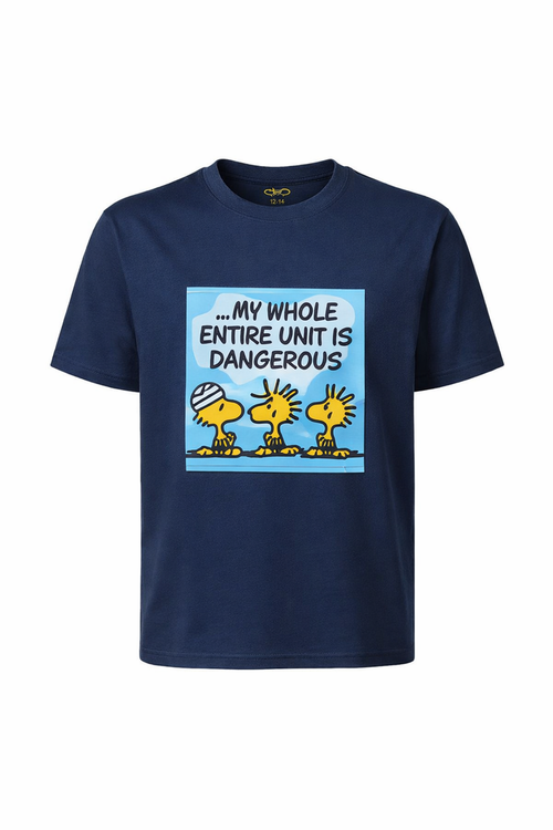 Dangerous x Woodstock T-shirt - Catch Body Customs