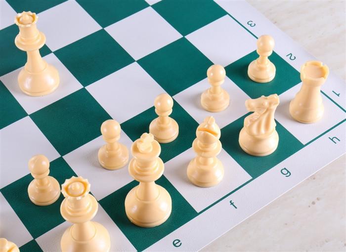 Quality Regulation Chess Set Combo - Chess Set - Chess-House