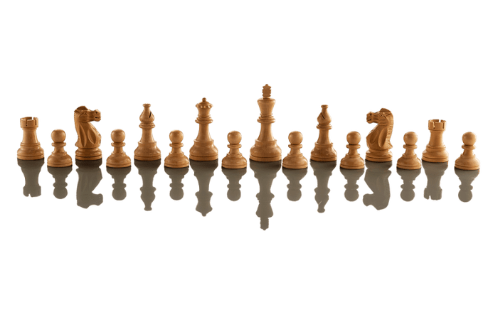 SINGLE REPLACEMENT PIECES: Supreme Tournament 55 Millennium Electronic Chess Set - Parts - Chess-House