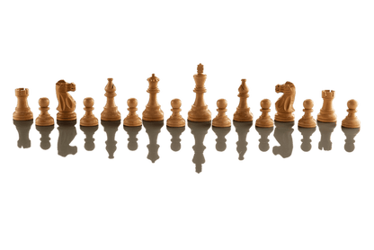 SINGLE REPLACEMENT PIECES: Supreme Tournament 55 Millennium Electronic Chess Set - Parts - Chess-House