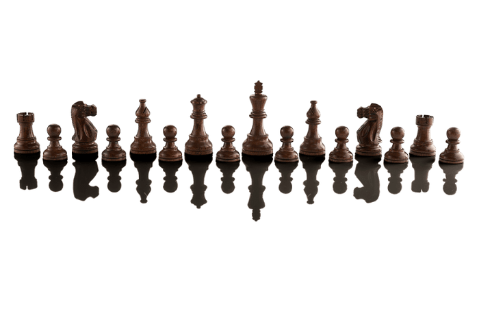 SINGLE REPLACEMENT PIECES: Supreme Tournament 55 Millennium Electronic Chess Set - Parts - Chess-House
