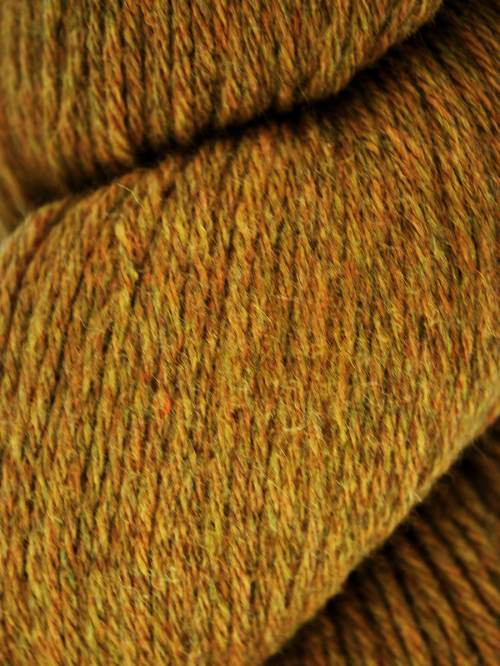 Goldenrod 110