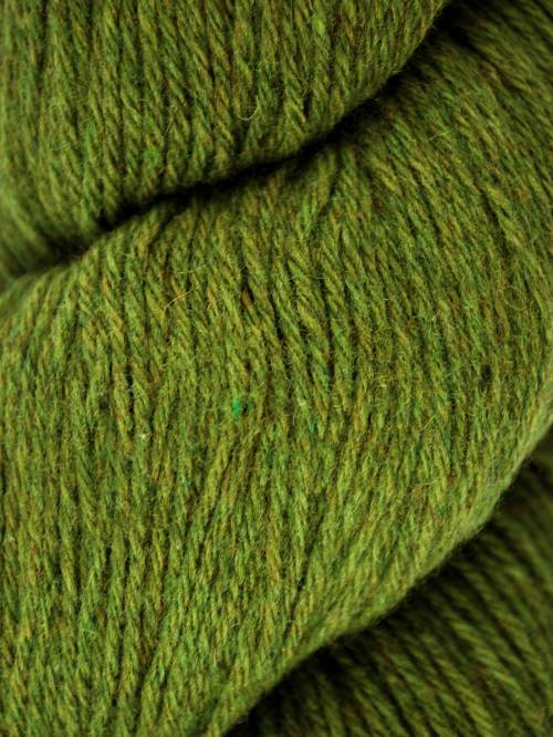 Catberry 111